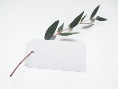 Leaves white card
